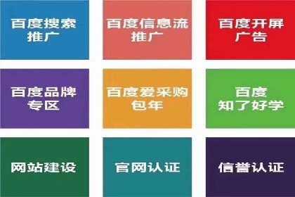 某某SEM团队成功案例：广告投放策略揭秘
